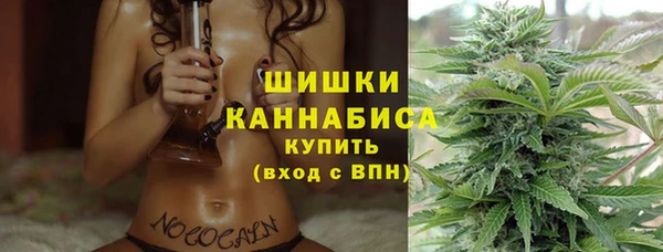 apvp Богданович